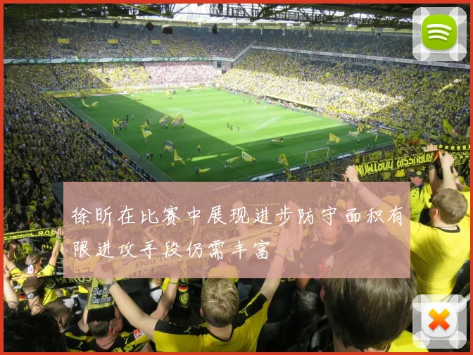 徐昕在比赛中展现进步防守面积有限进攻手段仍需丰富